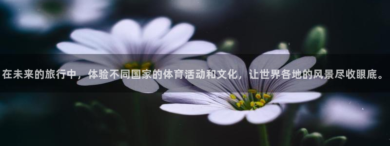 在未来的旅行中，体验不同国家的体育活动和文化，让世界各地的风景尽收眼底。