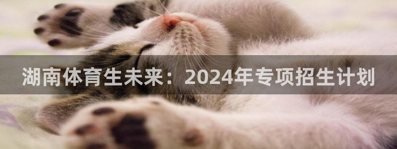 湖南体育生未来：2024年专项招生计划