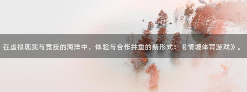 在虚拟现实与竞技的海洋中，体验与合作并重的新形式：《情境体育游戏》。