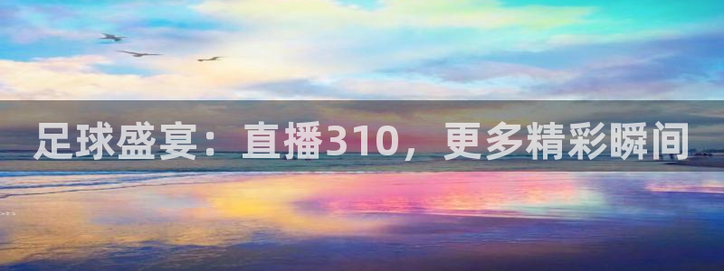 足球盛宴：直播310，更多精彩瞬间