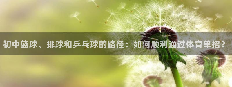初中篮球、排球和乒乓球的路径：如何顺利通过体育单招？