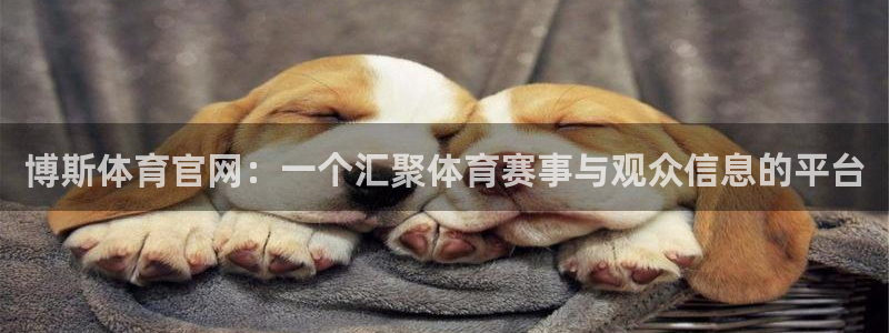 博斯体育官网：一个汇聚体育赛事与观众信息的平台