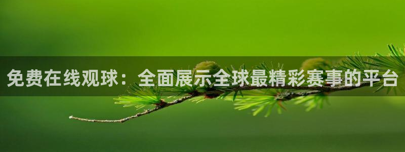 极速体育直播吧手机版