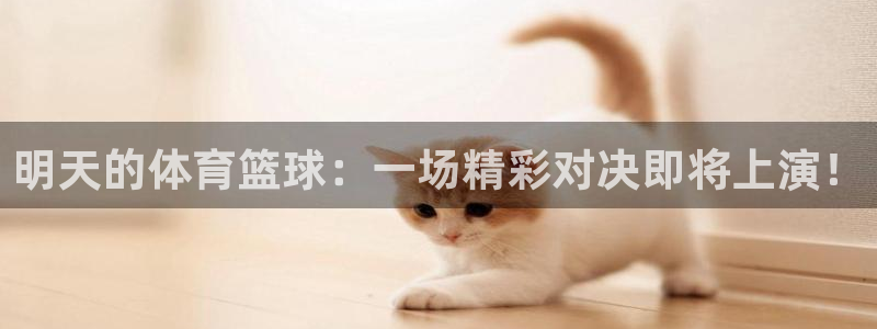 极速直播免费体育直播