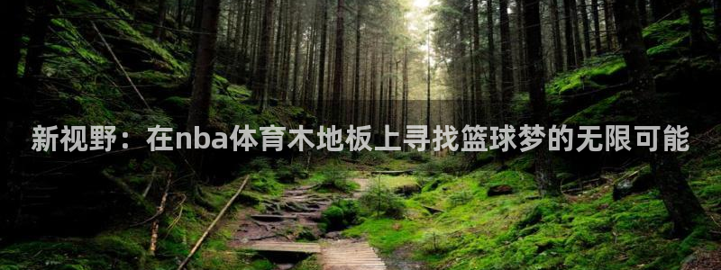 jrs极速免费体育直播：新视野：在nba体育木地板上寻找篮球梦的无限可能