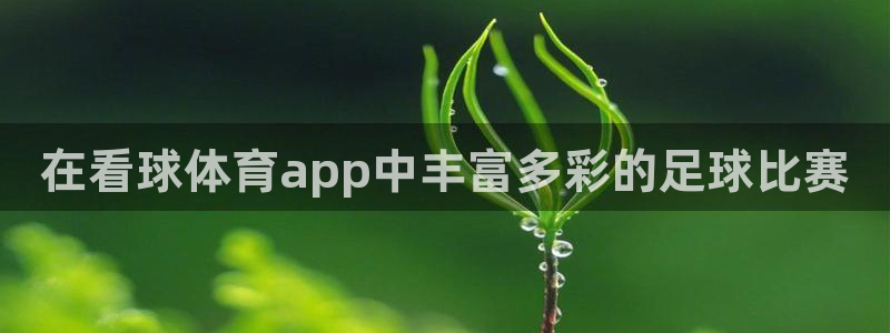 极速体育视频直播nba：在看球体育app中丰富多彩的足球比赛