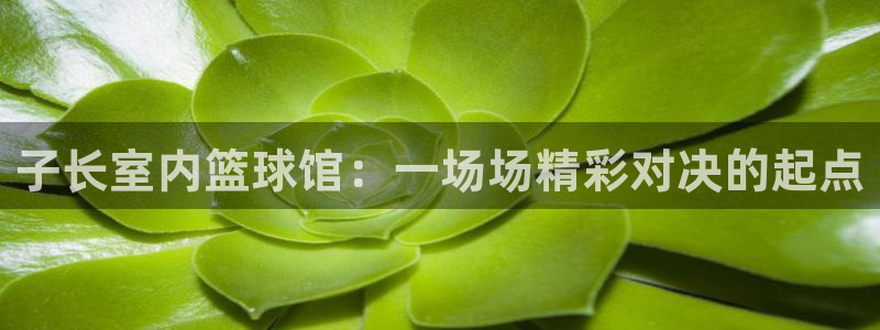 nba直播吧 极速体育：子长室内篮球馆：一场场精彩对决的起点