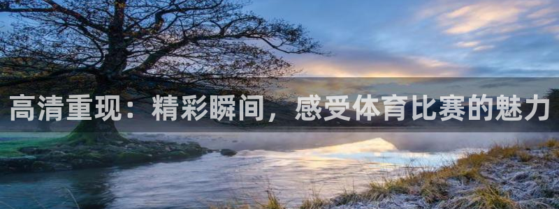 极速体育高清直播nba：高清重现：精彩瞬间，感受体育比赛的魅力
