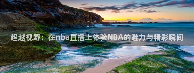 nba极速直播免费观看高清：超越视野：在nba直播上体验NBA的魅力与精彩瞬间