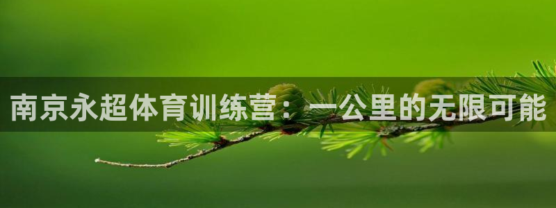 极速体育直播体：南京永超体育训练营：一公里的无限可能
